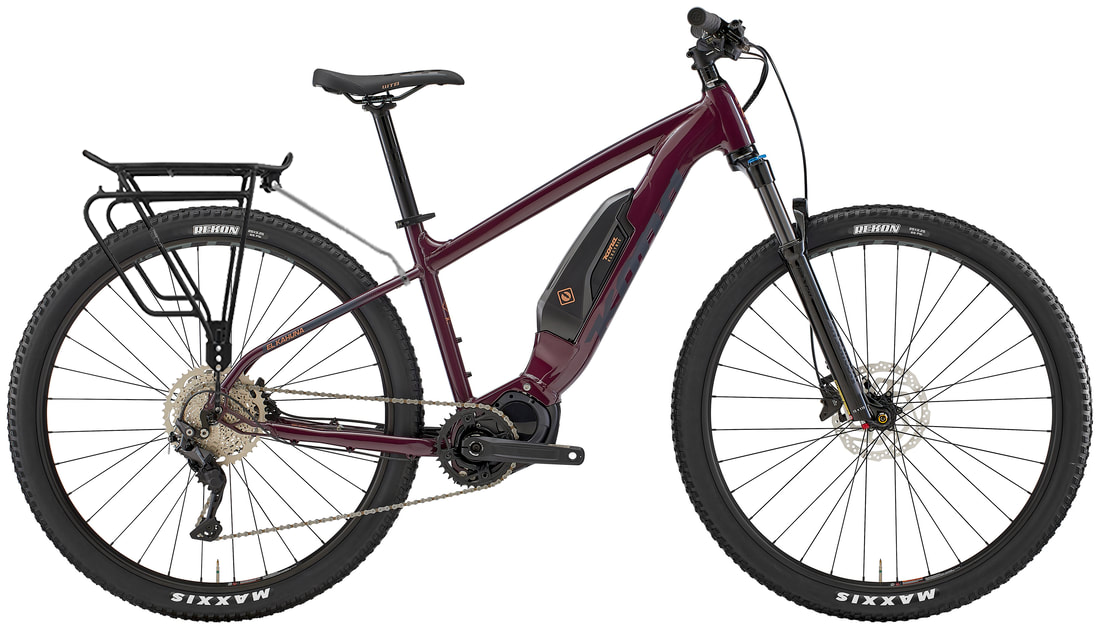 Electric Assisted E-Bike